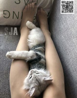 三年片在线观看免费观看大全_BD英语超清在线观看