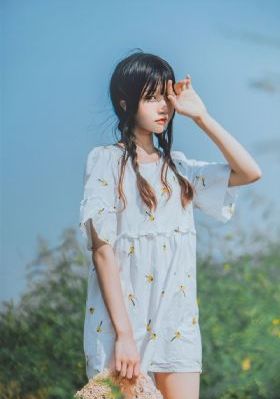 爱情公寓在线免费观看_高清直播在线观看